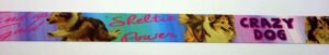 Webband 20-178