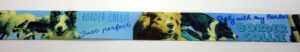 20-165 Webband 20-165, Border Collie Just Perfect – für Hundehalsbänder 20 bis 24 mm