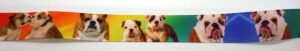 20-177 Webband 20-177, Bulldoggen auf Regenbogen – für Hundehalsbänder 20 bis 24 mm