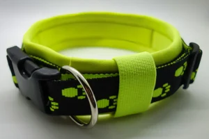 Halsband 1051
