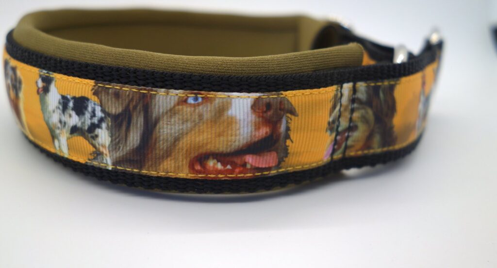 Hundehalsband 1123, Australian Shepherd auf Oliv – fertig ab Lager