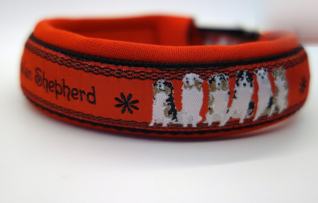 Hundehalsband 1124, Australian Shepherd auf Rot – fertig ab Lager