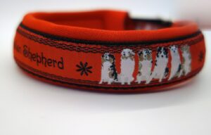 1124 Hundehalsband 1124, Australian Shepherd auf Rot – fertig ab Lager