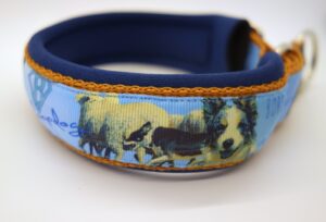 1125 Hundehalsband 1125, Border Collie auf Hellblau – fertig ab Lager